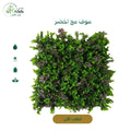 عشب صناعي جداري مووف مع اخضر